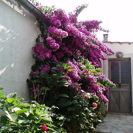 Apartman Fabac *