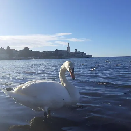 Fabac * Porec